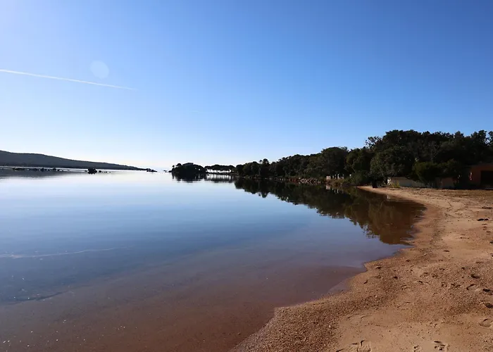 Filori - T2 Avec Piscine Chauffee Et Privee *